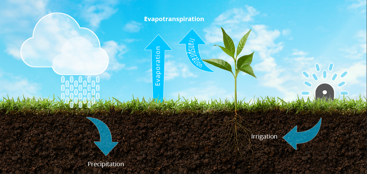 smart-home-garten-greeniq-smart-garden-hub-evapotranspiration